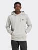 adidas Hoodie in Grau