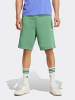 adidas Shorts in Grün