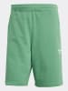 adidas Shorts in Grün