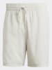 adidas Shorts in Creme