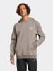 adidas Hoodie in Taupe