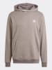 adidas Hoodie taupe