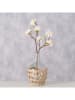 Boltze Vaas "Torino" beige - (H)25,8 x Ø 16 cm