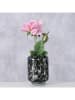 Boltze Windlicht ''Dotty'' in Schwarz - (H)10 x Ø 7 cm