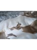 HNL Flanellen beddengoedset "Cervo" wit