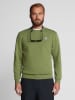 North Sails Sweatshirt in Grün