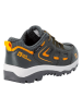 Jack Wolfskin Wanderschuhe "Vojo" in Grün