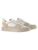 Högl Leder-Sneakers "Macba Seven" in Grau/ Beige