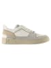 Högl Leder-Sneakers "Macba Seven" in Grau/ Beige