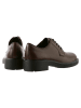 Högl Leder-Schnürschuhe "George" in Braun