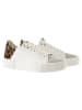 Högl Leder-Sneakers "Blade" in Bunt