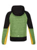 Regatta Fleecejacke "Prenton II" in Grün