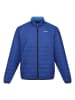 Regatta Doorgestikte jas "Hillpack" blauw