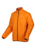 Regatta Steppjacke "Hillpack" in Orange
