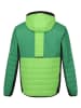 Regatta Hybridjacke "Trutton II" in Grün