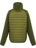 Regatta Hybridjacke "Newhill" in Grün