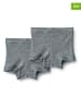 Wheat 2er-Set: Woll-Boxershorts "Avalon" in Grau