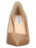 Steve Madden Pumps in Beige