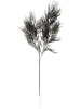 Present Time Kunstpflanze "Asparagus" in Schwarz - (B)25,4 x (H)86,4 cm