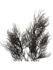 Present Time Kunstpflanze "Asparagus" in Schwarz - (B)25,4 x (H)86,4 cm