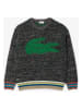 Lacoste Pullover in Schwarz