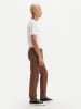 Levi´s Chino in Braun
