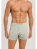 Hanro Boxershorts in Beige