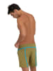 Arena Badeshorts in Braun/ Blau