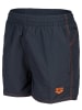 Arena Badeshorts in Anthrazit