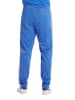 Arena Sweathose in Blau