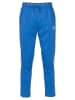 Arena Sweathose in Blau