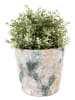 Clayre & Eef Blumentopf in Creme - (H)15 x Ø 16 cm