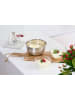 Emsa Mengkom "Prep & Bake" groen - 3 l