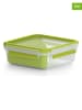 Emsa 2er-Set: Lunchboxen "Clip & Go" in Grün - 850 ml