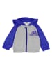 adidas Trainingpak blauw/grijs