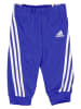 adidas Trainingpak blauw/grijs