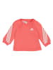 adidas Trainingsanzug in Rot