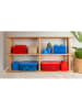 LEGO Opbergbox "Sort & Store Medium" rood - (B)15 x (H)6 x (D)12 cm