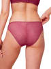 Triumph Figi w kolorze jagodowym