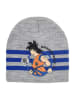 Dragon Ball Z Beanie "Dragon ball Z" grijs/blauw