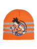 Dragon Ball Z Czapka beanie "Dragon ball Z" w kolorze pomarańczowo-szarym