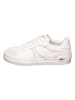 Lacoste Sneakers in Weiß