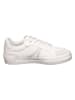 Lacoste Sneakers wit