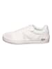 Lacoste Sneakers in Weiß