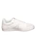 Lacoste Sneakers in Weiß