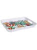 Garden Spirit Taca "Paradis Exotique" ze wzorem - 41 x 32 cm