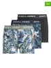 JACK & JONES Junior 3-delige set: boxershorts meerkleurig