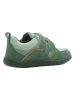 lamino Leder-Barfußschuhe in Grün