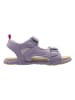 lamino Barfootsandalen paars
