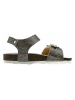 lamino Sandalen in Khaki